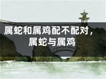 属蛇和属鸡配不配对，属蛇与属鸡