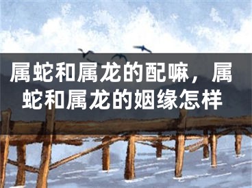 属蛇和属龙的配嘛，属蛇和属龙的姻缘怎样