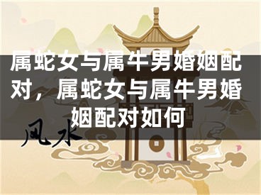 属蛇女与属牛男婚姻配对，属蛇女与属牛男婚姻配对如何