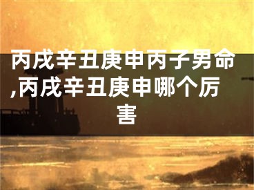 丙戌辛丑庚申丙子男命,丙戌辛丑庚申哪个厉害