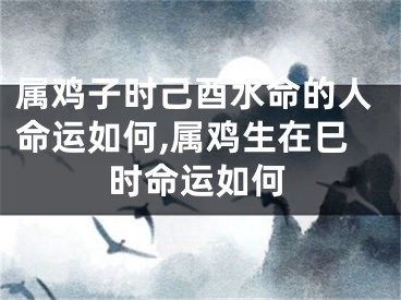 属鸡子时己酉水命的人命运如何,属鸡生在巳时命运如何