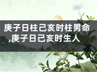 庚子日柱己亥时柱男命,庚子日己亥时生人