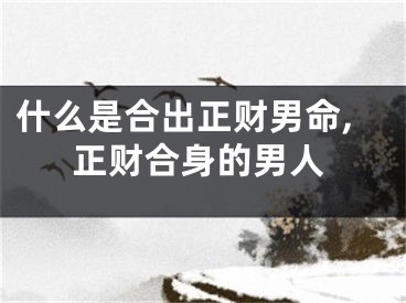 什么是合出正财男命,正财合身的男人