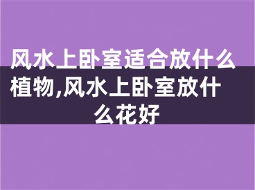 风水上卧室适合放什么植物,风水上卧室放什么花好