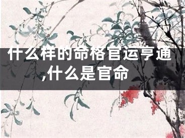 什么样的命格官运亨通,什么是官命