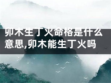 卯木生丁火命格是什么意思,卯木能生丁火吗