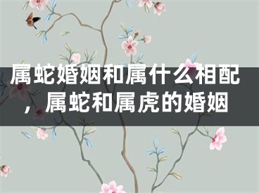 属蛇婚姻和属什么相配，属蛇和属虎的婚姻