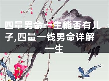 四量男命一生能否有儿子,四量一钱男命详解一生