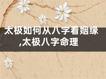 太极如何从八字看姻缘,太极八字命理