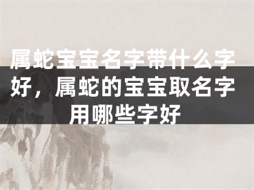 属蛇宝宝名字带什么字好，属蛇的宝宝取名字用哪些字好