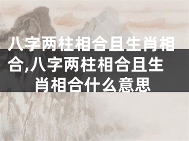 八字两柱相合且生肖相合,八字两柱相合且生肖相合什么意思
