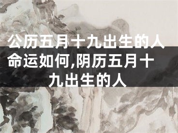 公历五月十九出生的人命运如何,阴历五月十九出生的人