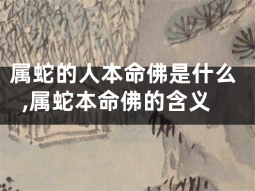 属蛇的人本命佛是什么,属蛇本命佛的含义