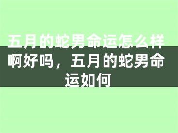 五月的蛇男命运怎么样啊好吗，五月的蛇男命运如何