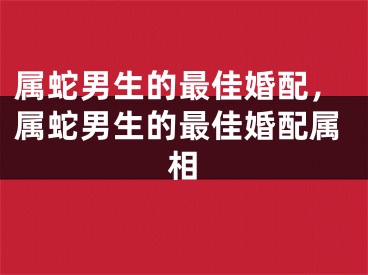 属蛇男生的最佳婚配，属蛇男生的最佳婚配属相