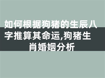 如何根据狗猪的生辰八字推算其命运,狗猪生肖婚姻分析