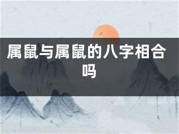属鼠与属鼠的八字相合吗