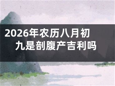 2026年农历八月初九是剖腹产吉利吗