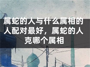 属蛇的人与什么属相的人配对最好，属蛇的人克哪个属相