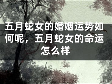 五月蛇女的婚姻运势如何呢，五月蛇女的命运怎么样