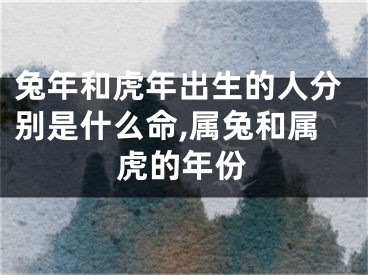 兔年和虎年出生的人分别是什么命,属兔和属虎的年份