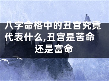 八字命格中的丑宫究竟代表什么,丑宫是苦命还是富命