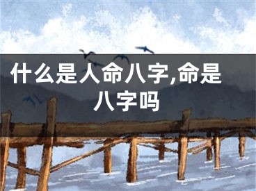 什么是人命八字,命是八字吗