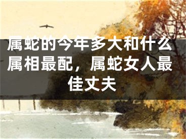 属蛇的今年多大和什么属相最配，属蛇女人最佳丈夫