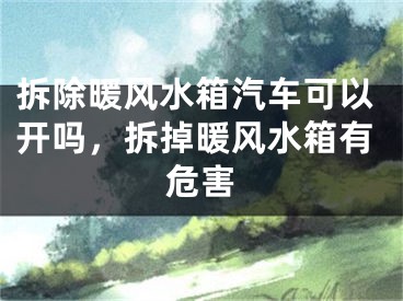 拆除暖风水箱汽车可以开吗，拆掉暖风水箱有危害