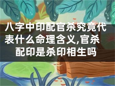 八字中印配官杀究竟代表什么命理含义,官杀配印是杀印相生吗