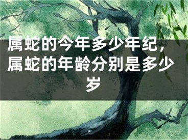 属蛇的今年多少年纪，属蛇的年龄分别是多少岁