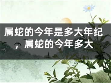 属蛇的今年是多大年纪，属蛇的今年多大