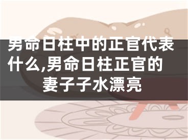 男命日柱中的正官代表什么,男命日柱正官的妻子子水漂亮