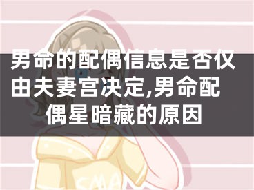 男命的配偶信息是否仅由夫妻宫决定,男命配偶星暗藏的原因