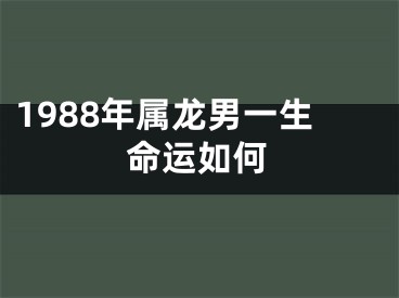1988年属龙男一生命运如何