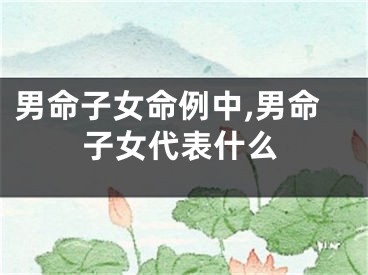 男命子女命例中,男命子女代表什么