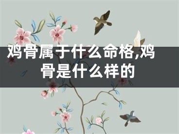 鸡骨属于什么命格,鸡骨是什么样的