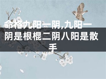 命格九阳一阴,九阳一阴是根棍二阴八阳是散手