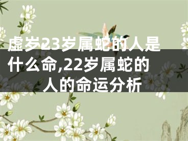虚岁23岁属蛇的人是什么命,22岁属蛇的人的命运分析