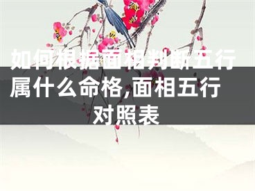 如何根据面相判断五行属什么命格,面相五行对照表