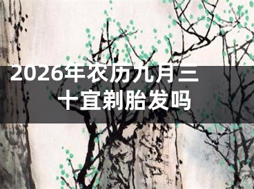 2026年农历九月三十宜剃胎发吗