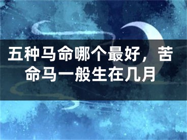 五种马命哪个最好，苦命马一般生在几月