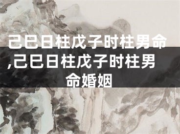 己巳日柱戊子时柱男命,己巳日柱戊子时柱男命婚姻