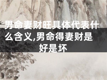 男命妻财旺具体代表什么含义,男命得妻财是好是坏
