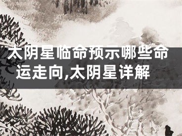 太阴星临命预示哪些命运走向,太阴星详解