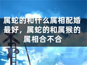 属蛇的和什么属相配婚最好，属蛇的和属猴的属相合不合