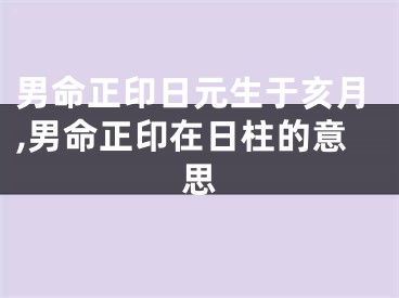 男命正印日元生于亥月,男命正印在日柱的意思