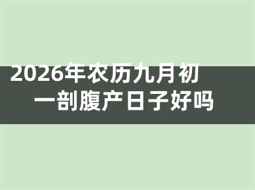 2026年农历九月初一剖腹产日子好吗