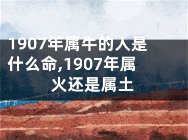 1907年属牛的人是什么命,1907年属火还是属土