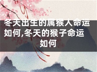 冬天出生的属猴人命运如何,冬天的猴子命运如何